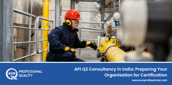 API Q2 Consultancy in India Guide | AVN Professional Quality